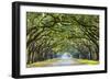 Savannah, Georgia, USA Oak Tree Lined Road at Historic Wormsloe Plantation.-SeanPavonePhoto-Framed Photographic Print