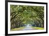 Savannah, Georgia, USA Oak Tree Lined Road at Historic Wormsloe Plantation.-SeanPavonePhoto-Framed Photographic Print