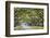 Savannah, Georgia, USA Oak Tree Lined Road at Historic Wormsloe Plantation.-SeanPavonePhoto-Framed Photographic Print