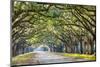 Savannah, Georgia, USA Oak Tree Lined Road at Historic Wormsloe Plantation.-SeanPavonePhoto-Mounted Photographic Print