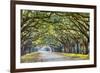 Savannah, Georgia, USA Oak Tree Lined Road at Historic Wormsloe Plantation.-SeanPavonePhoto-Framed Photographic Print