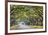 Savannah, Georgia, USA Oak Tree Lined Road at Historic Wormsloe Plantation.-SeanPavonePhoto-Framed Photographic Print