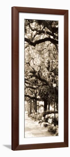 Savannah in Sepia I-Alan Hausenflock-Framed Photographic Print