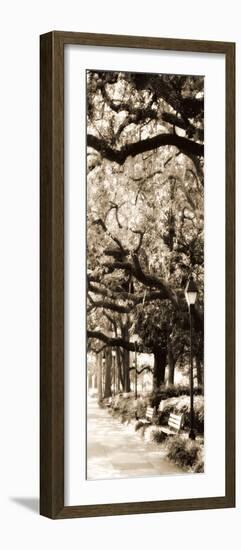 Savannah in Sepia I-Alan Hausenflock-Framed Photographic Print