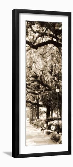 Savannah in Sepia I-Alan Hausenflock-Framed Photographic Print