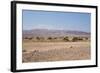 Savannah Landscape-Bakusova-Framed Photographic Print