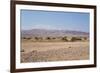 Savannah Landscape-Bakusova-Framed Photographic Print