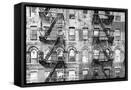 Canvas Black