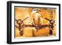Black Frame