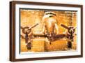 Brown Frame