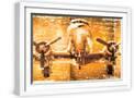 White Frame