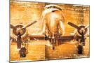 Wood Mount