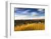 Savannah of Namibia during the Wet Season-Circumnavigation-Framed Photographic Print