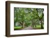 Savannah Park-Gary Tognoni-Framed Photographic Print