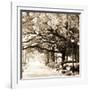 Savannah Sepia Sq I-Alan Hausenflock-Framed Photographic Print