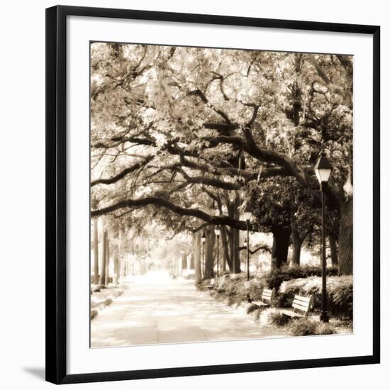 Savannah Sepia Sq I-Alan Hausenflock-Framed Photographic Print