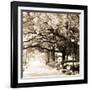 Savannah Sepia Sq I-Alan Hausenflock-Framed Photographic Print