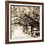 Savannah Sepia Sq I-Alan Hausenflock-Framed Photographic Print