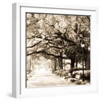 Savannah Sepia Sq I-Alan Hausenflock-Framed Photographic Print