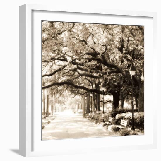 Savannah Sepia Sq I-Alan Hausenflock-Framed Photographic Print