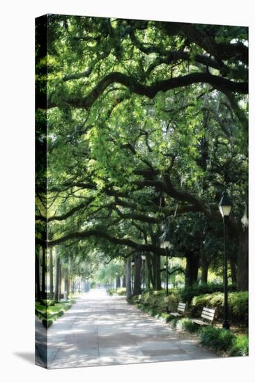 Savannah Sidewalk I-Alan Hausenflock-Stretched Canvas