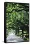 Savannah Sidewalk I-Alan Hausenflock-Framed Stretched Canvas