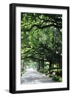 Savannah Sidewalk I-Alan Hausenflock-Framed Photographic Print