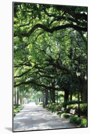 Savannah Sidewalk I-Alan Hausenflock-Mounted Photographic Print