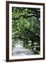 Savannah Sidewalk I-Alan Hausenflock-Framed Photographic Print