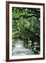 Savannah Sidewalk I-Alan Hausenflock-Framed Photographic Print