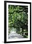 Savannah Sidewalk I-Alan Hausenflock-Framed Photographic Print