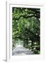 Savannah Sidewalk I-Alan Hausenflock-Framed Photographic Print