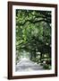 Savannah Sidewalk I-Alan Hausenflock-Framed Photographic Print