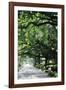 Savannah Sidewalk I-Alan Hausenflock-Framed Photographic Print