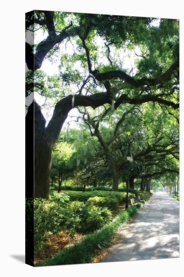 Savannah Sidewalk II-Alan Hausenflock-Stretched Canvas