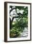 Savannah Sidewalk II-Alan Hausenflock-Framed Photographic Print