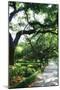 Savannah Sidewalk II-Alan Hausenflock-Mounted Photographic Print