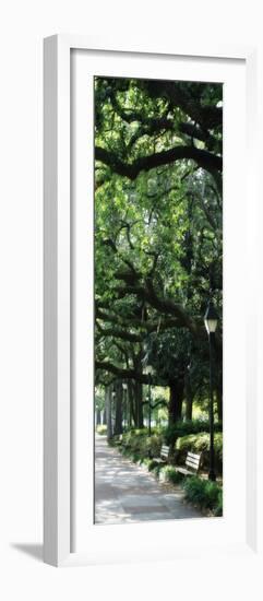 Savannah Sidewalk Panel I-Alan Hausenflock-Framed Photographic Print