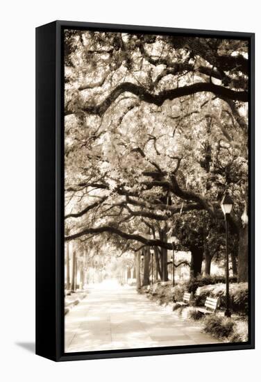 Savannah Sidewalk Sepia I-Alan Hausenflock-Framed Stretched Canvas