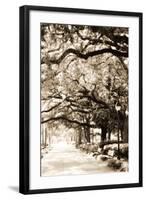 Savannah Sidewalk Sepia I-Alan Hausenflock-Framed Photographic Print