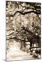 Savannah Sidewalk Sepia I-Alan Hausenflock-Mounted Photographic Print