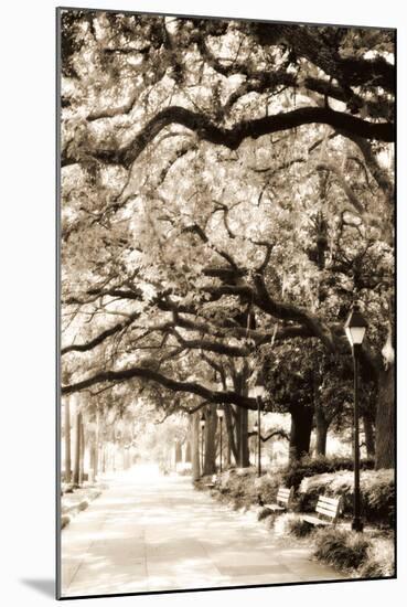 Savannah Sidewalk Sepia I-Alan Hausenflock-Mounted Photographic Print