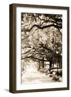 Savannah Sidewalk Sepia I-Alan Hausenflock-Framed Photographic Print