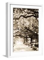 Savannah Sidewalk Sepia I-Alan Hausenflock-Framed Photographic Print