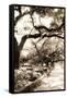 Savannah Sidewalk Sepia II-Alan Hausenflock-Framed Stretched Canvas