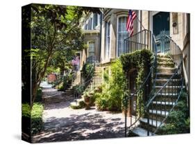 Savannah Street with Traditional House Entrances, Georgia-George Oze-Stretched Canvas