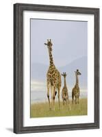 Savannah Strut-Susann Parker-Framed Photographic Print