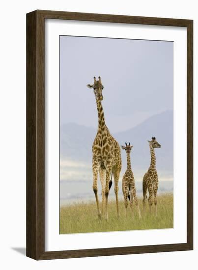 Savannah Strut-Susann Parker-Framed Photographic Print