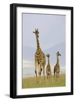 Savannah Strut-Susann Parker-Framed Photographic Print