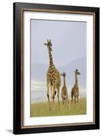 Savannah Strut-Susann Parker-Framed Photographic Print